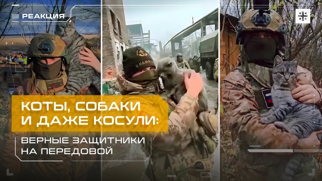    Фото: коллаж Царьграда