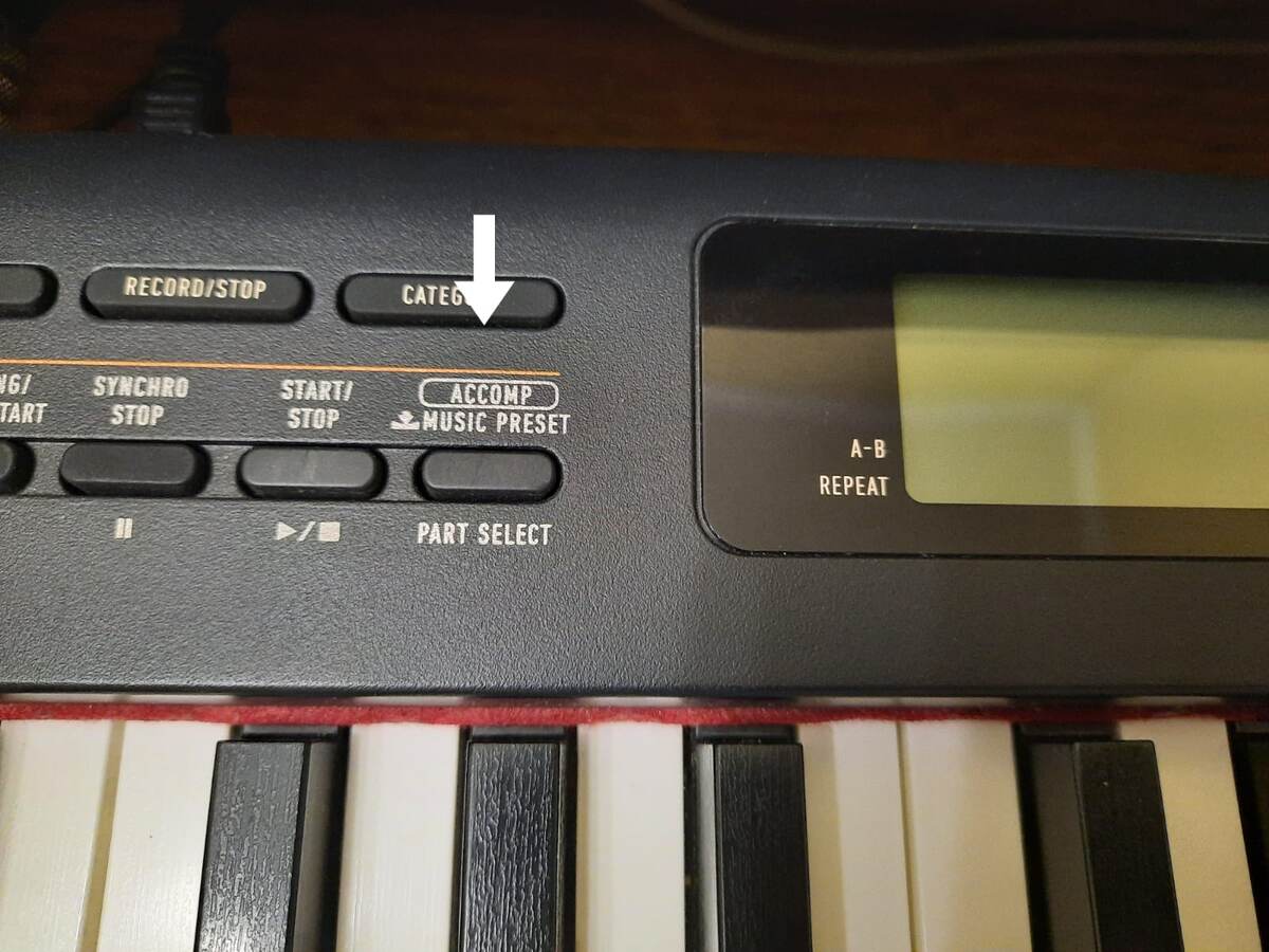 Кнопка включения автоаккомпанемента