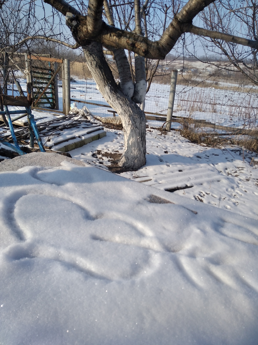 Вот такую открытку утром обнаружила ко дню рождения от мужа. Эмоций даже больше чем от простой покупной.