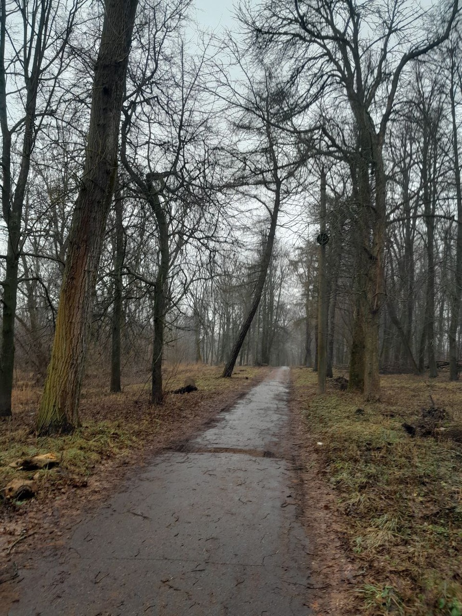 Фото автора Телеграмм - канала «Городские открытки»: https://t.me/city_postcard