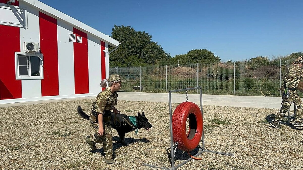    Фото: архив телеканала «Краснодар»