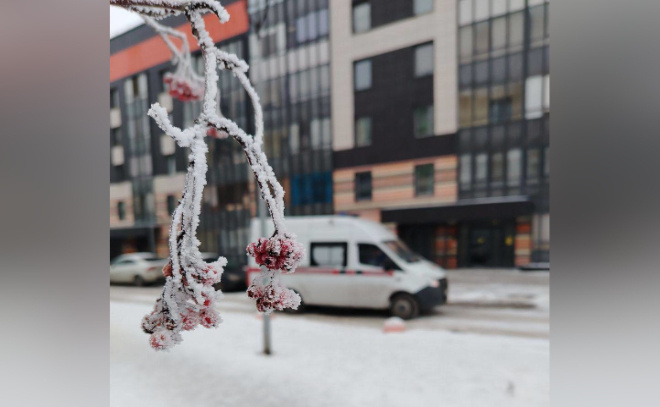    © Пресс-служба администрации Ленинградской области