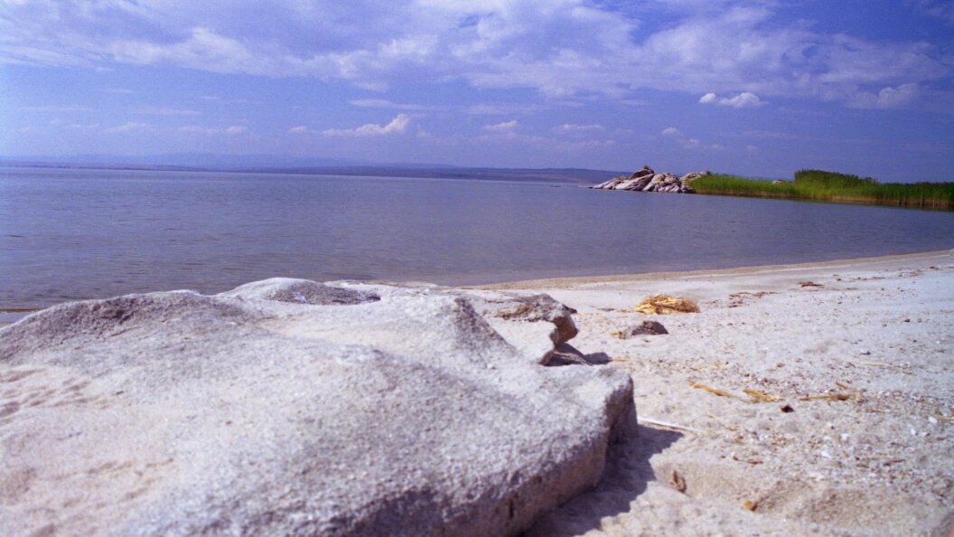    Фото: Boris Rezvantsev/Russian Look/Globallookpress