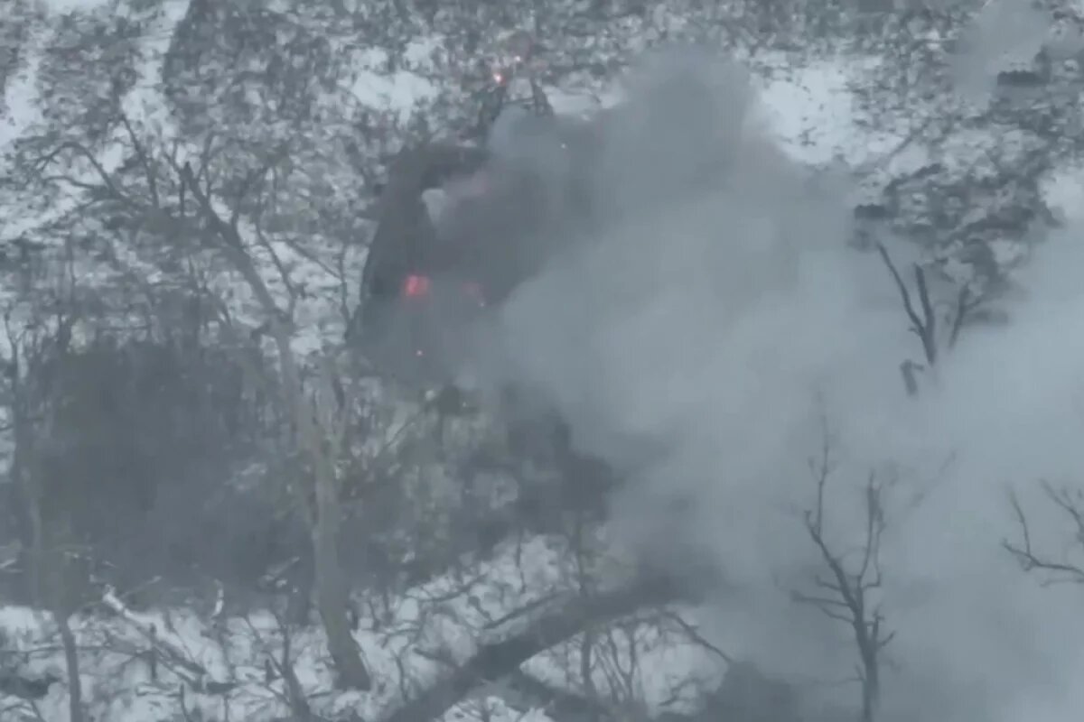    Шведов разорвало на куски.