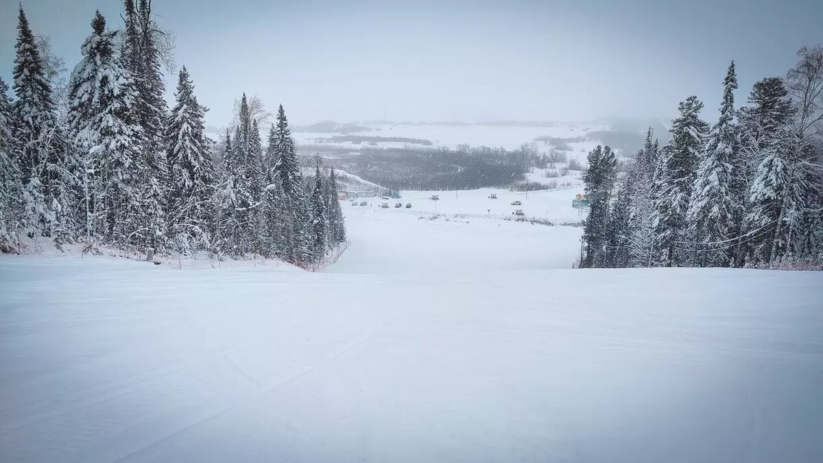     Источник: 1MI