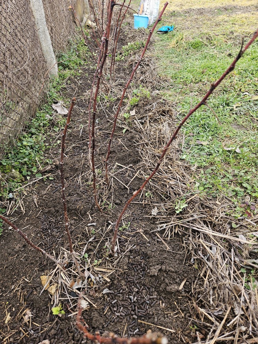 Посыпала на почву удобрения