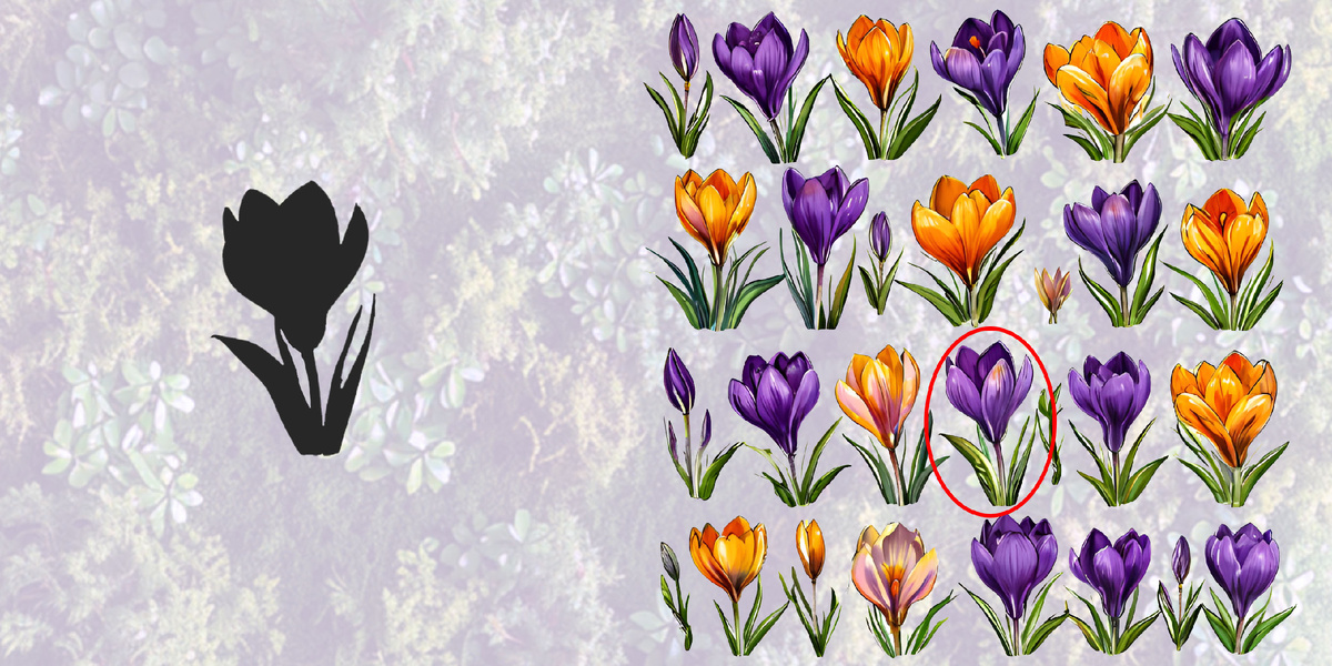 А вот и ответ!