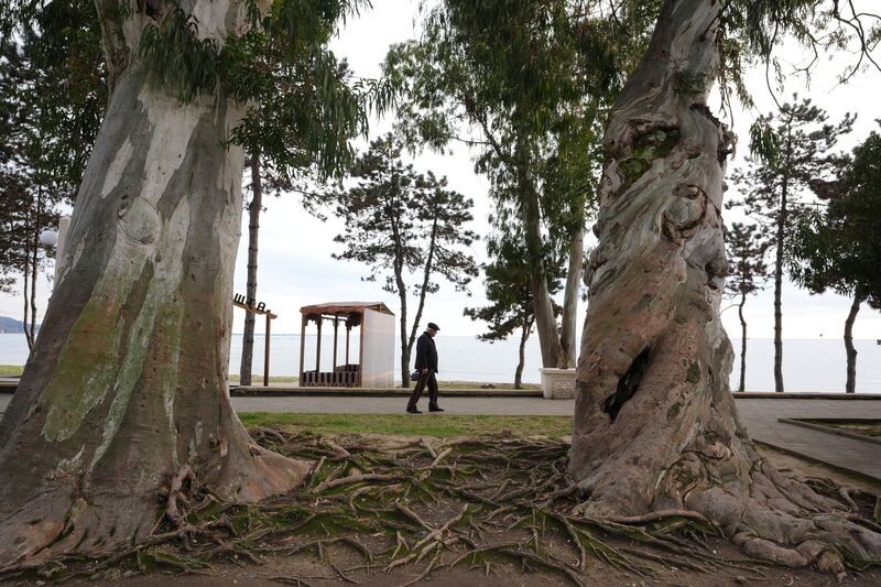    Абхазия. Сухум. / Источник: © ИЗВЕСТИЯ/Эдуард Корниенко