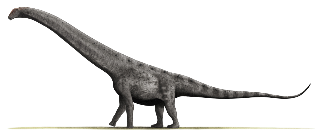 Аргентинозавр