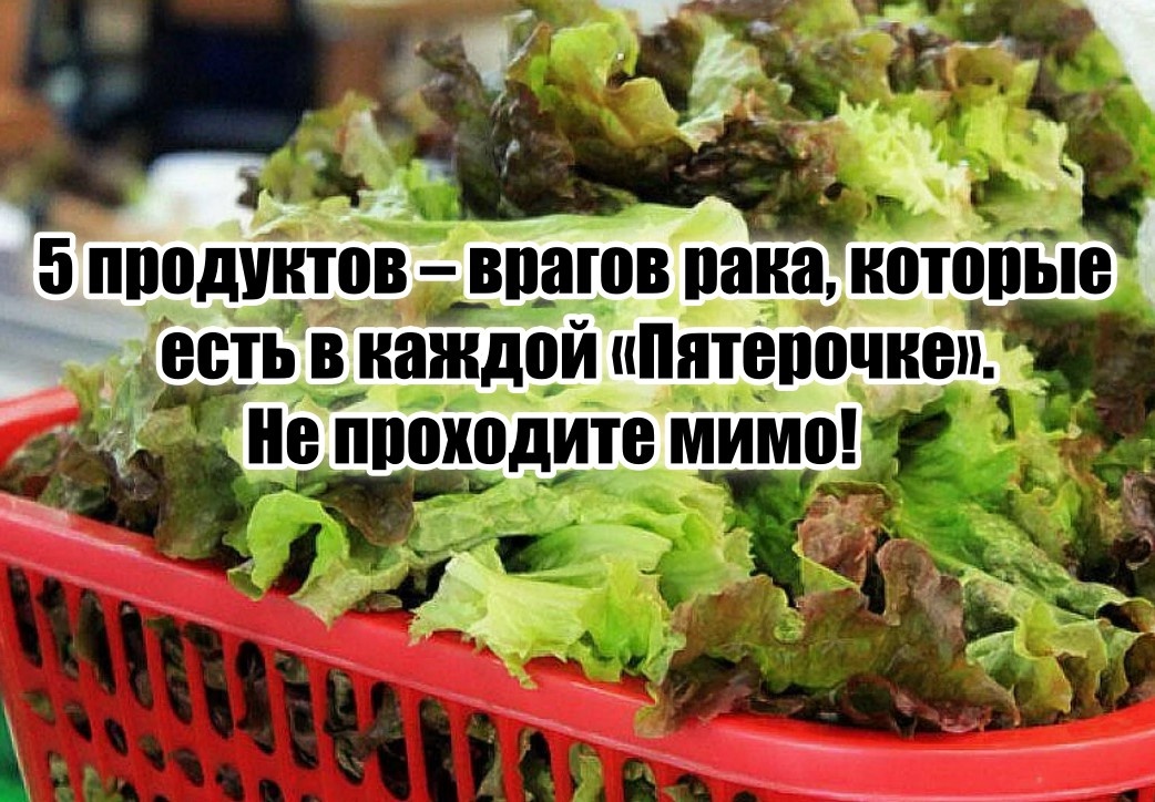 Вы найдете их в каждом магазине.