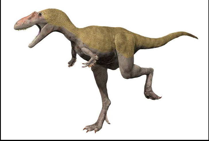 Альбертозавр