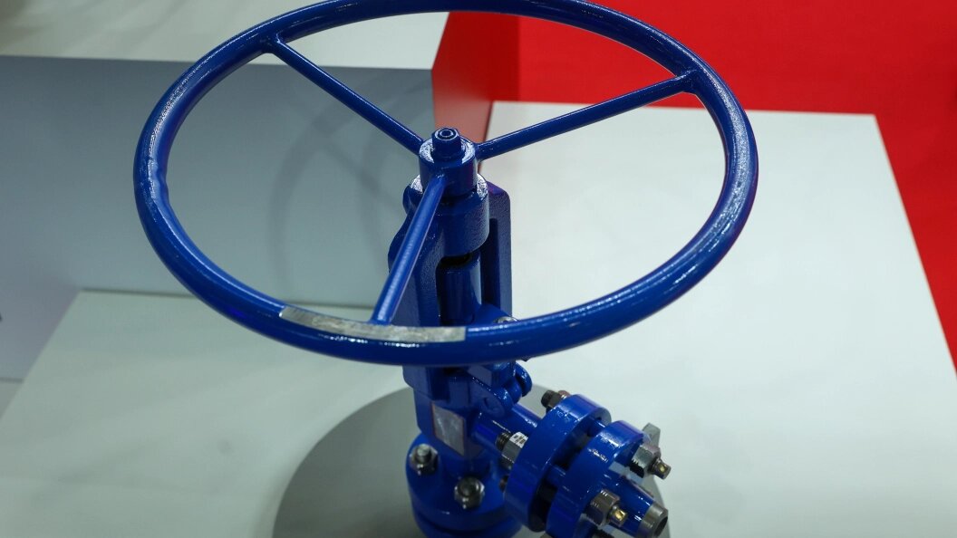    Фото: Petrov Sergey/Globallookpress