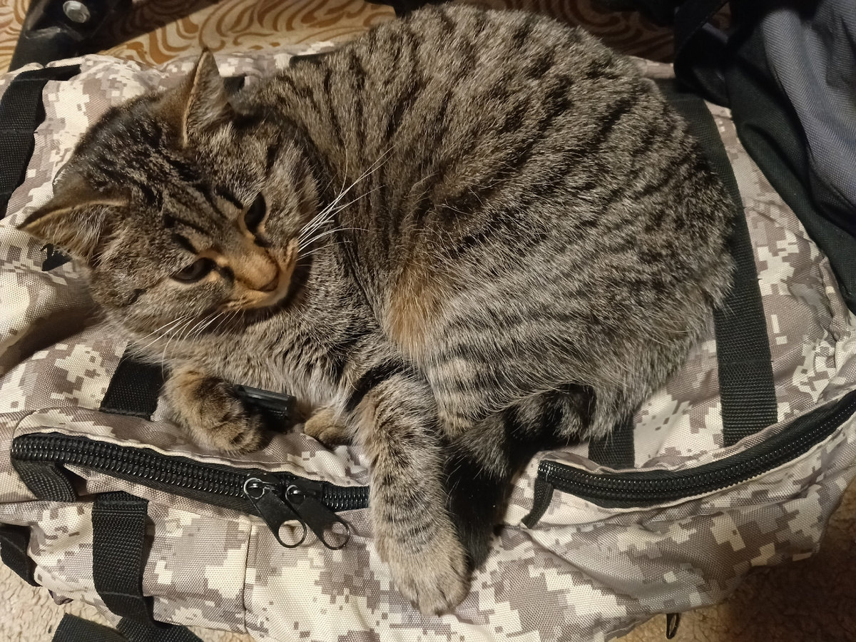 Фото автора