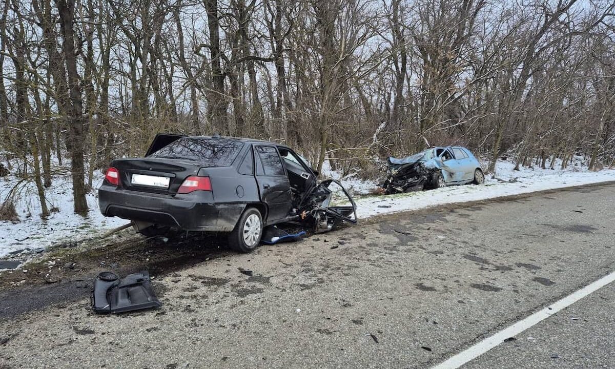    Фото t.me/proc_23/18813