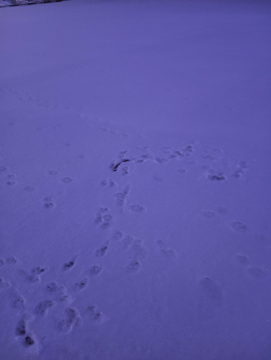 Личное фото автора канала