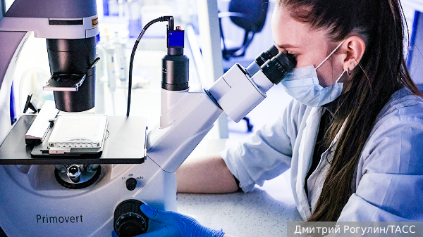     Фото: Дмитрий Рогулин/ТАСС