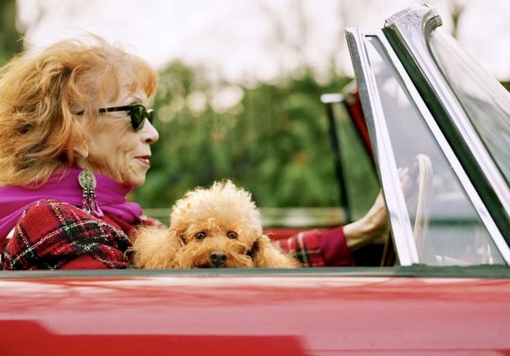 Источник фото: pinterest.com