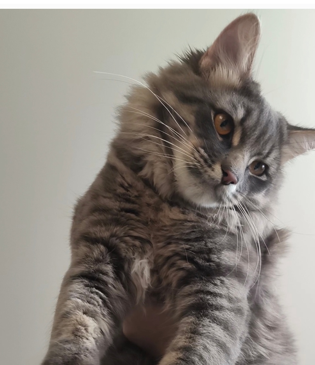 Фотографии в статье авторские