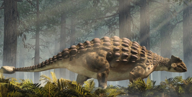 Анкилозавр