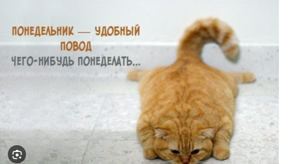 картинка с интернета