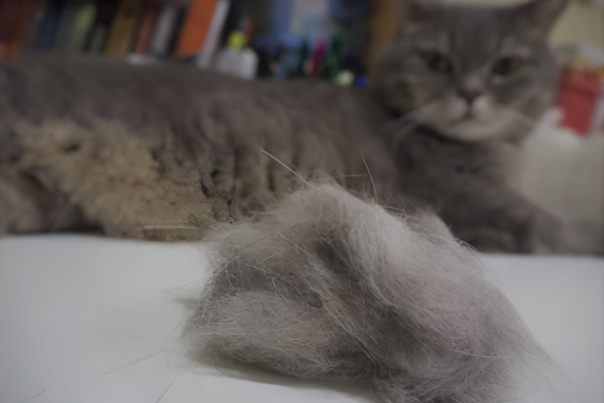 Трихобезоары