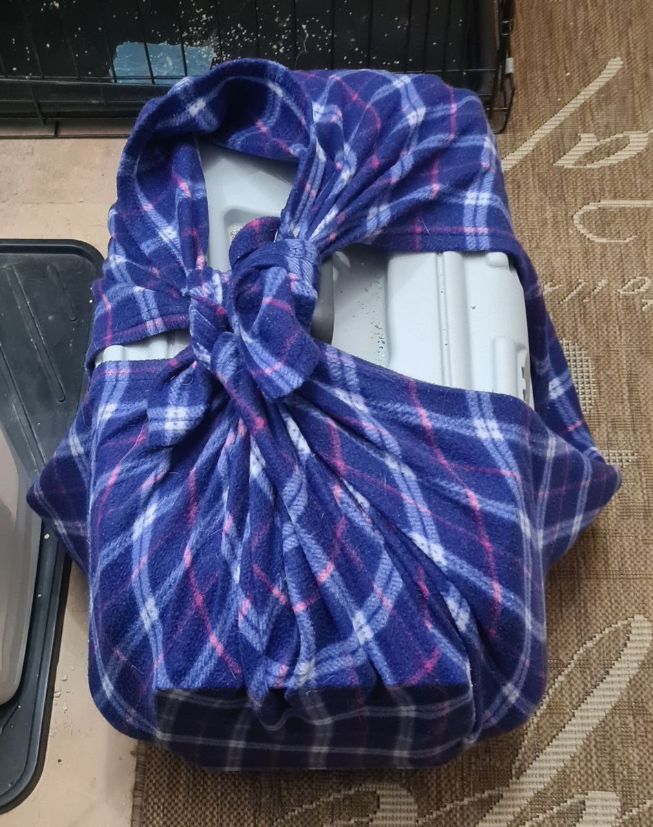 Папа внутри