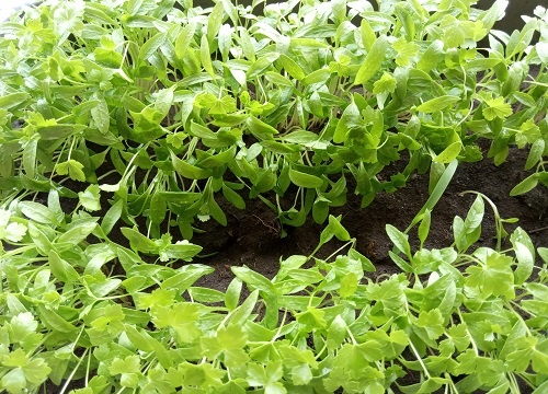 Фотография из личного архива автора