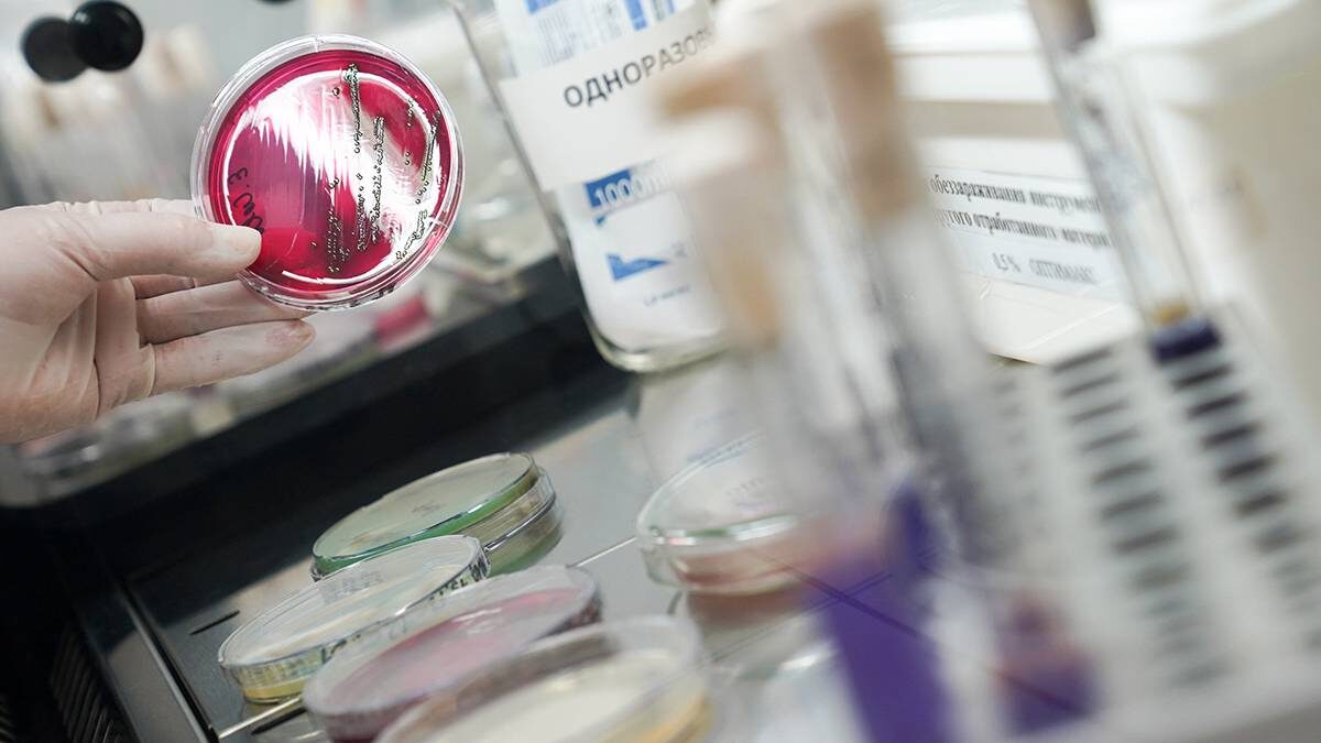    Фото: Пелагия Тихонова / АГН Москва