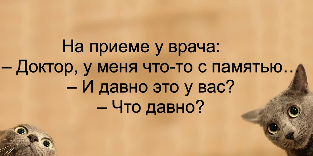 Порция позитива: свежая подборка анекдотов, чтобы зарядиться позитивом