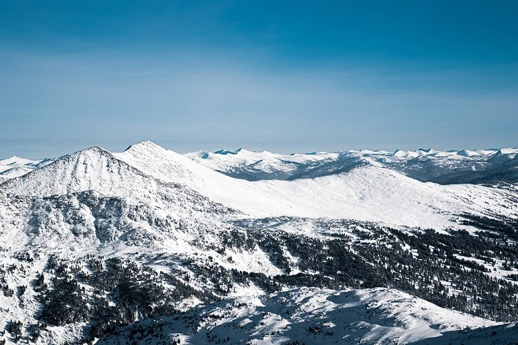 Фото: пресс-служба РТУ МИРЭА (Лев Кузьмин)