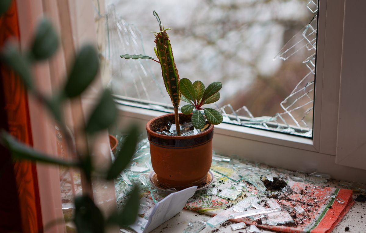 Евгений Силантьев/ТАСС, архив