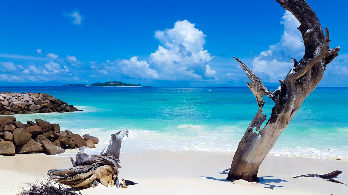 Сейшелы, остров Праслин 