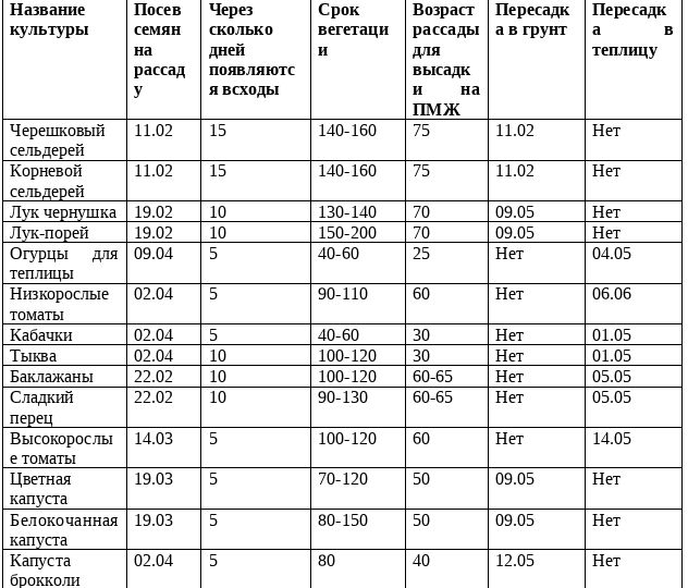 Придерживаюсь графика, в котором указаны сроки посева семян и, всегда с урожаем