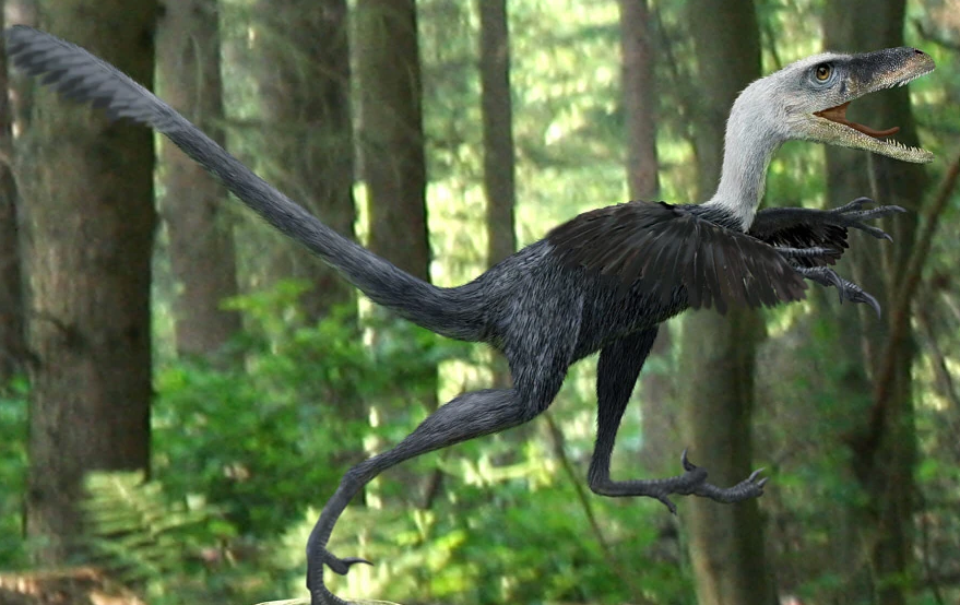 Бэмбираптор