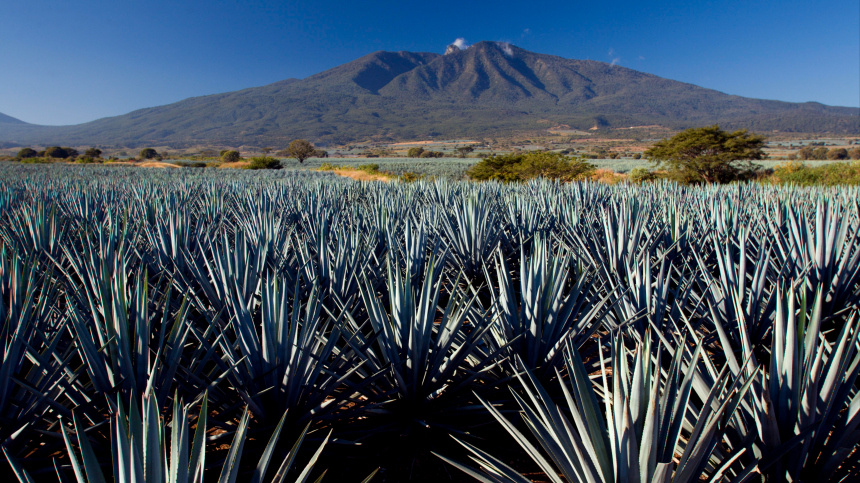    Фото: www.globallookpress.com/Vision 21