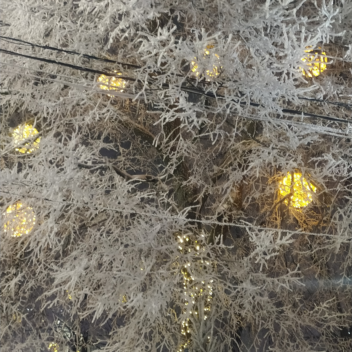 Из личного архива