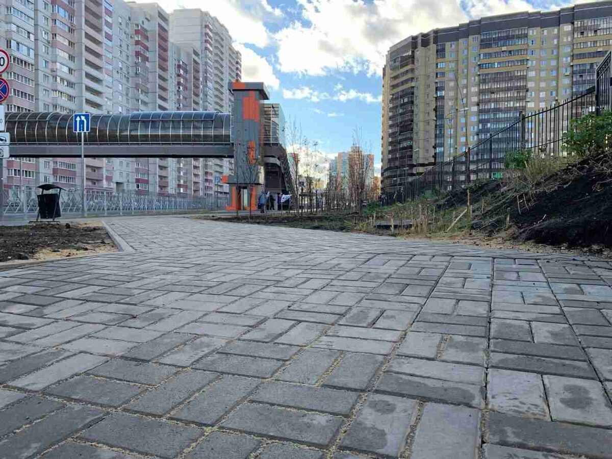    Пресс-служба мэрии Воронежа.