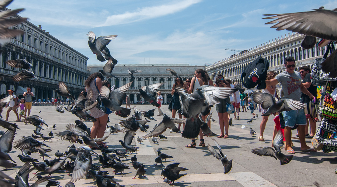 Источник Yandex images