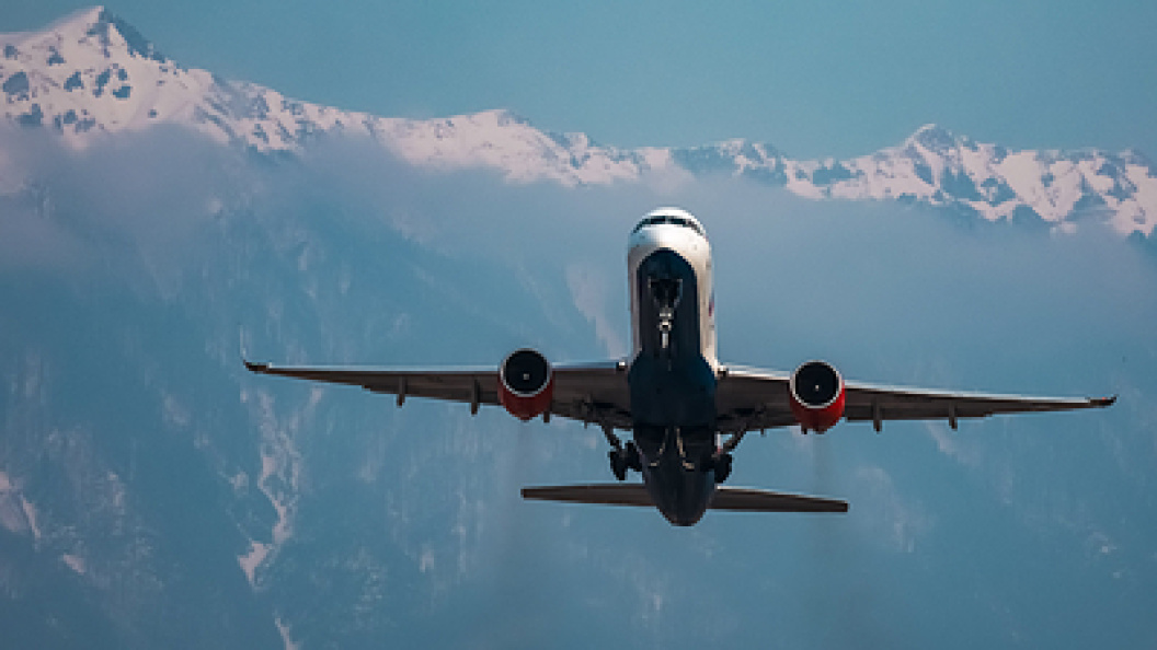    Фото: Roman Naumov/URA.RU/Globallookpress