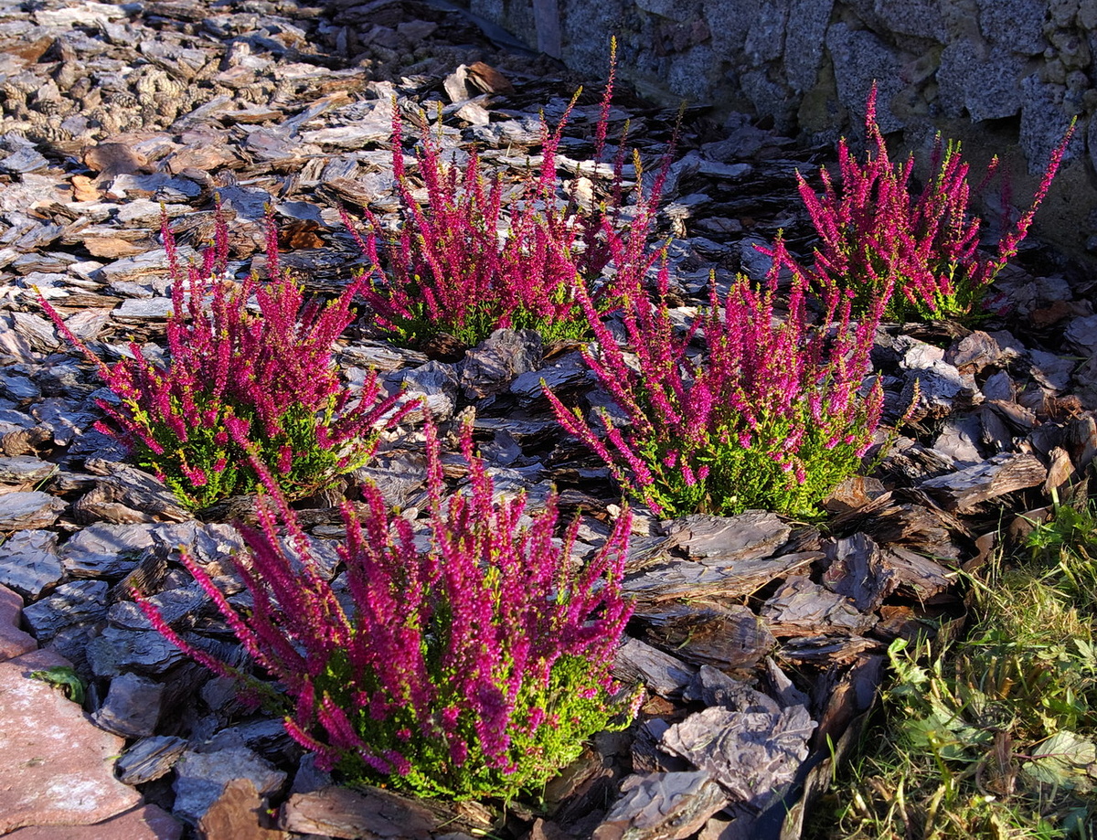 19 сентября 2009 года - 1 год после посадки.