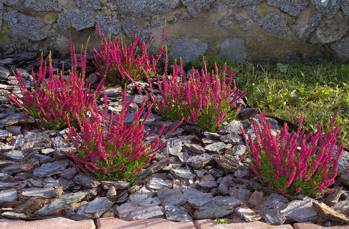 19 сентября 2009 года - 1 год после посадки.