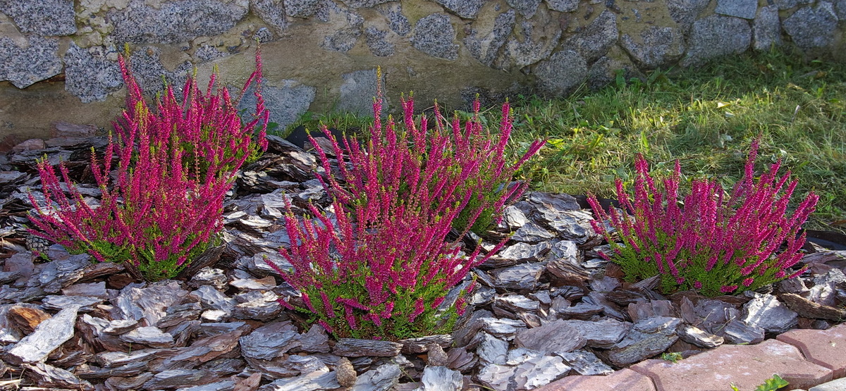 19 сентября 2009 года - 1 год после посадки.