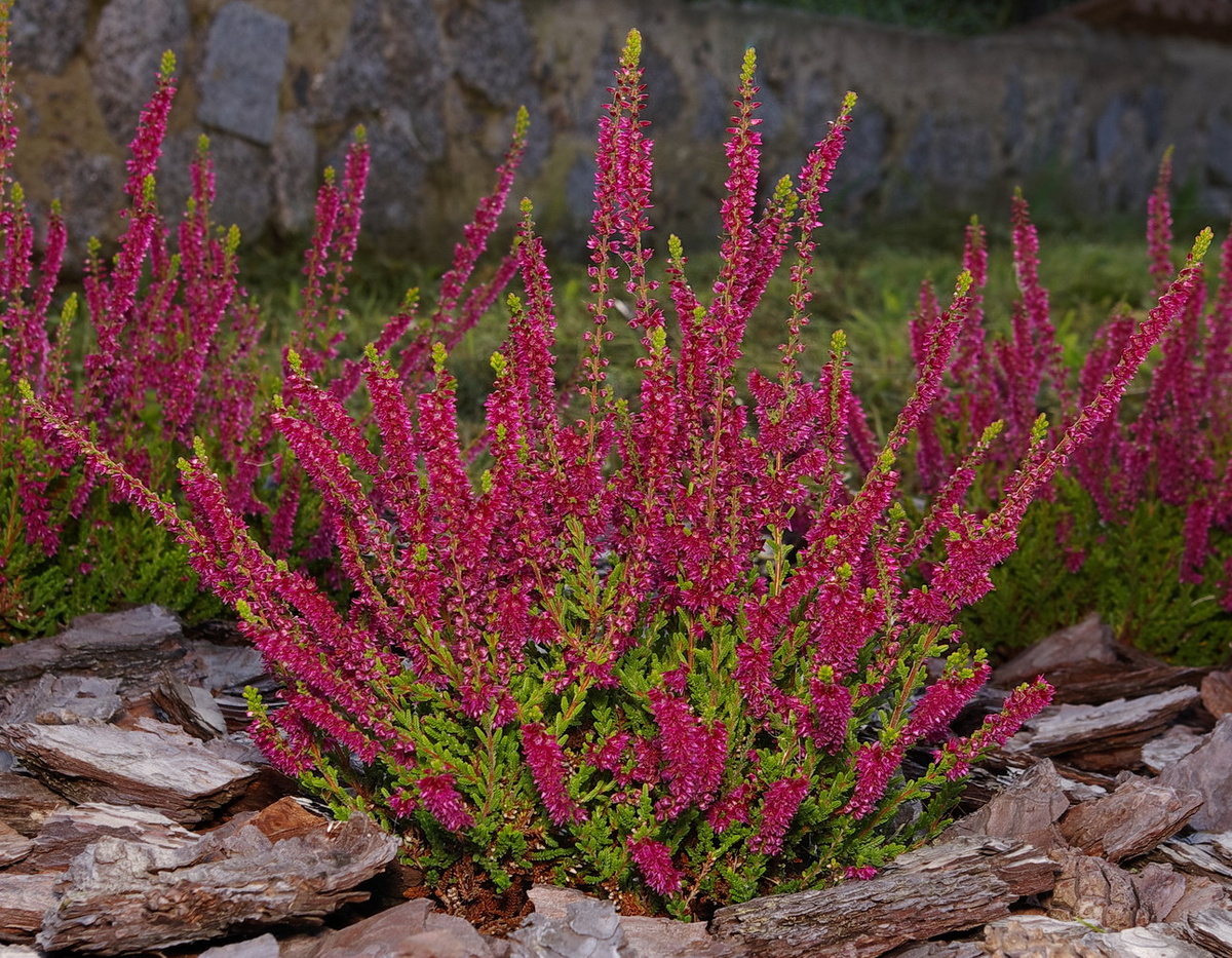 19 сентября 2009 года - 1 год после посадки.