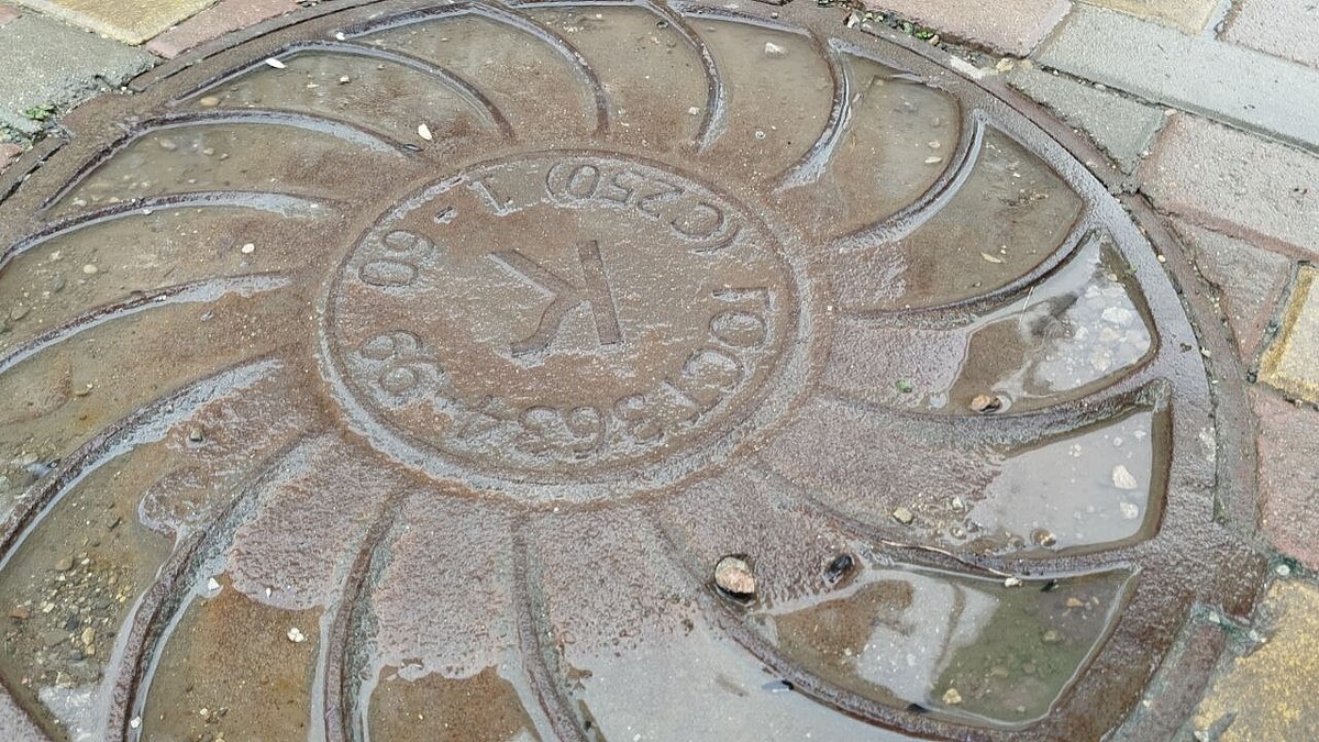    фото: телеканал «Краснодар»