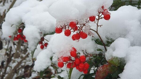    © Официальный канал Администрации Ялты