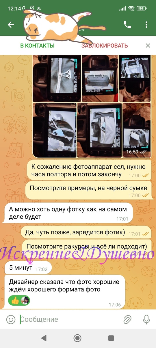 Скриншот мессенджера автора