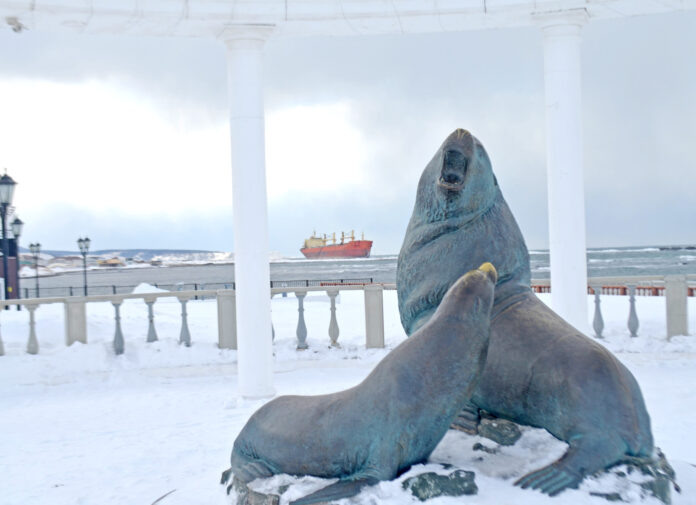 Сивучи недовольны аварией судна. Даже скульптуры.