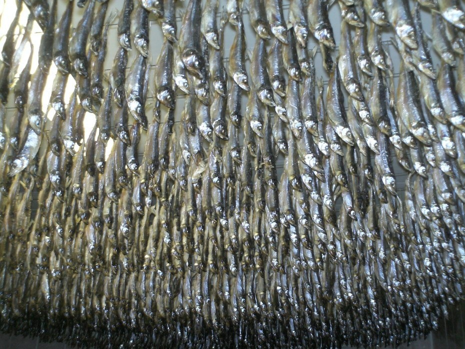 Фото: ВКонтакте