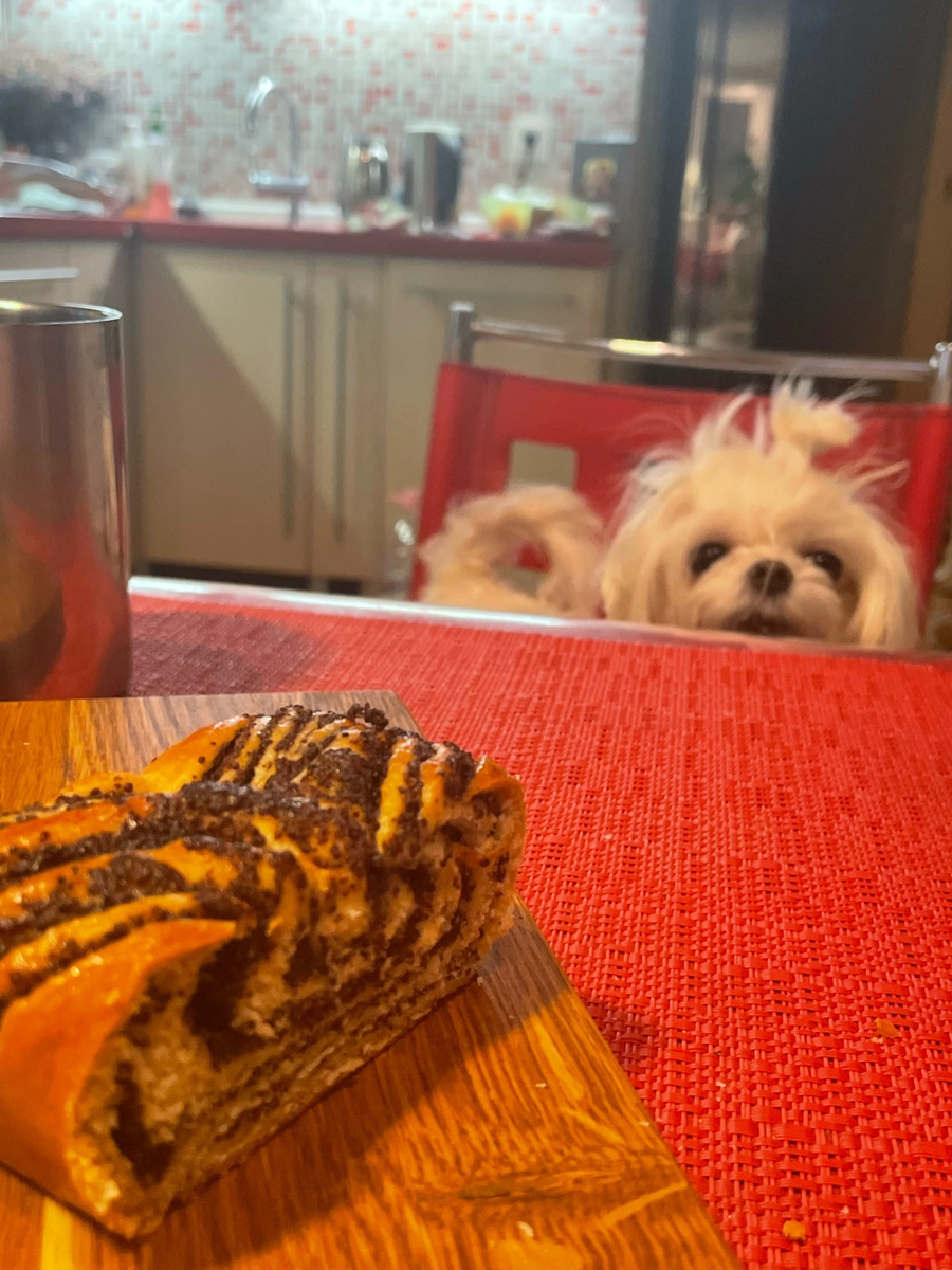 Утренний завтрак с ковриком и пора ехать на роспись 