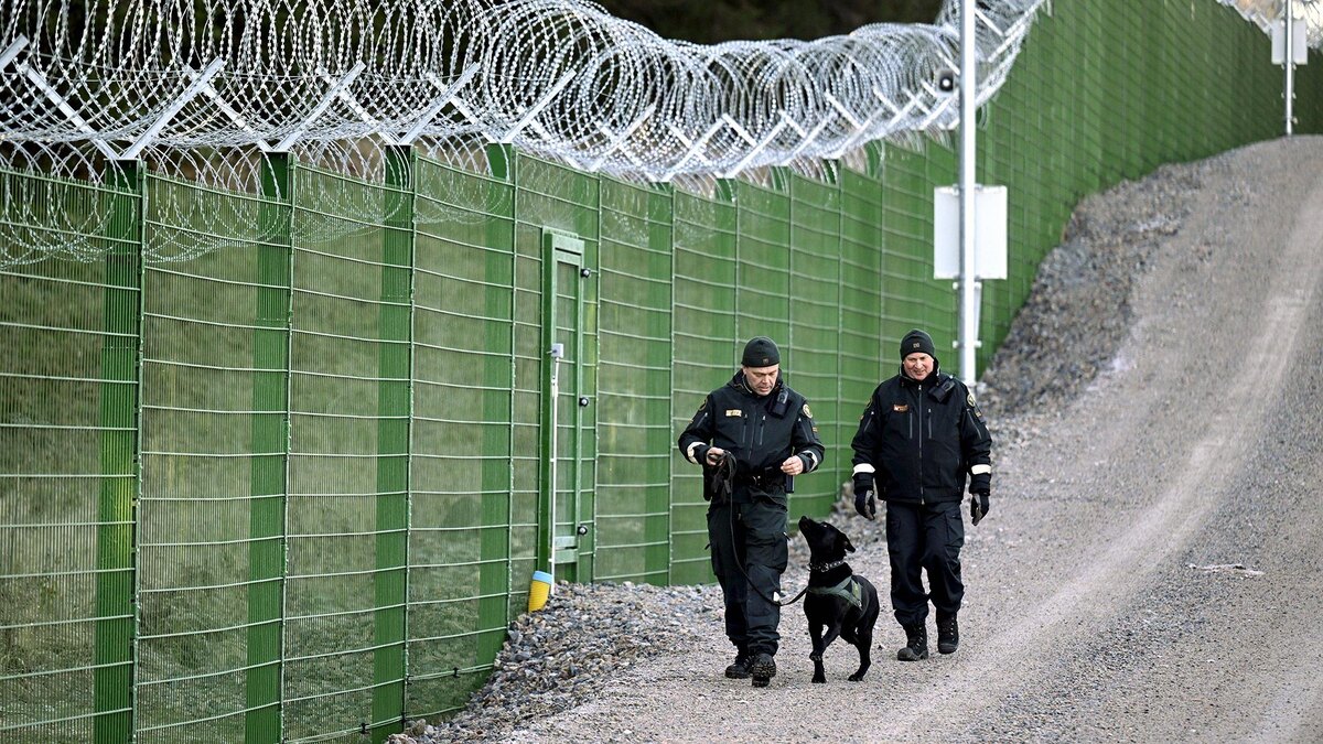 Фото: IMAGO/Jussi Nukari/globallookpress.com